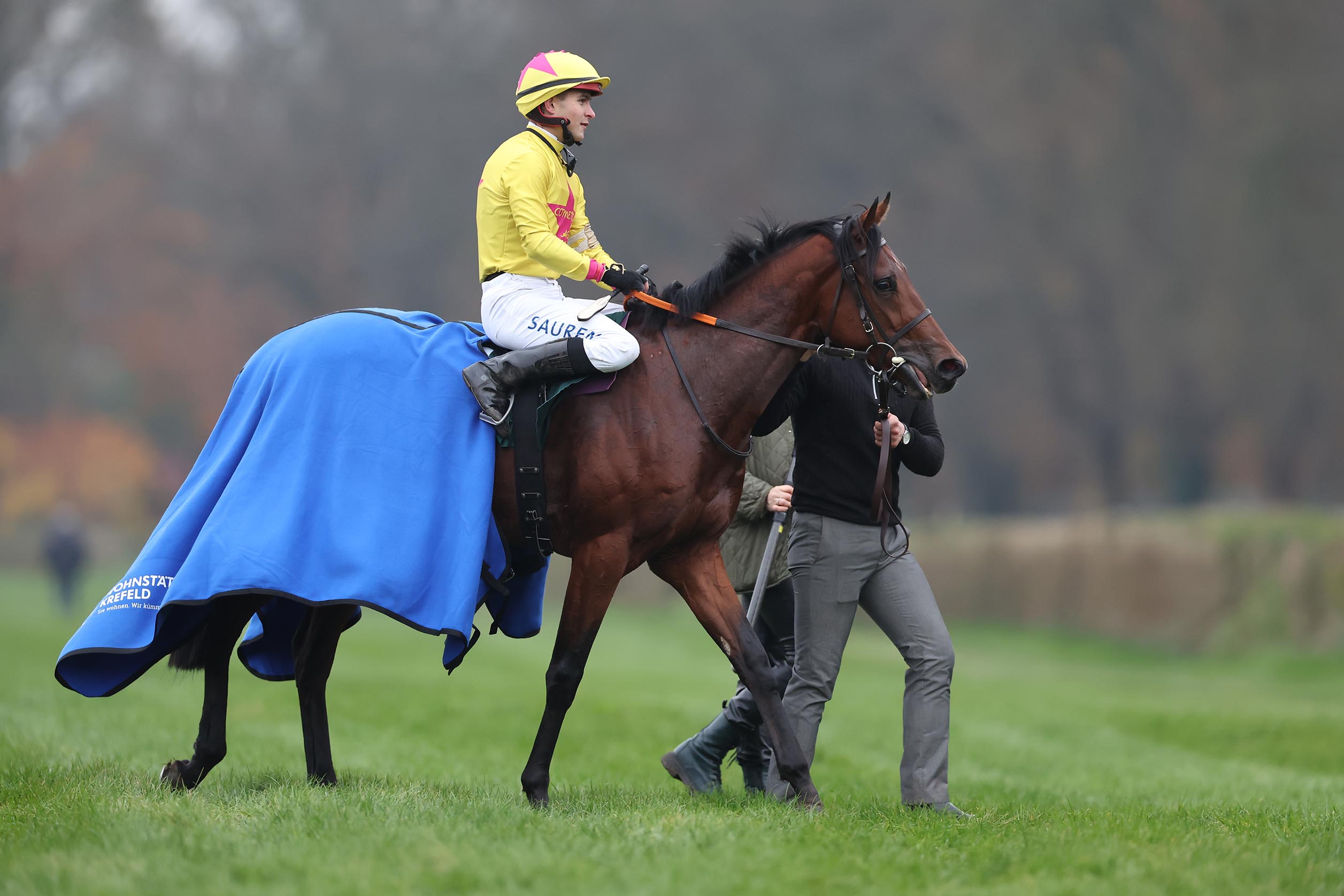 POMPEO DREAM GEGEN FÜNF