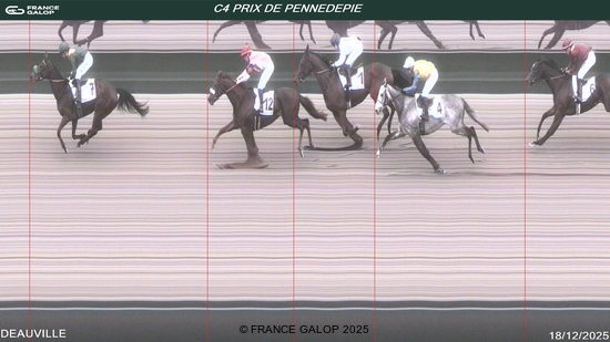 DEAUVILLE TREFFER