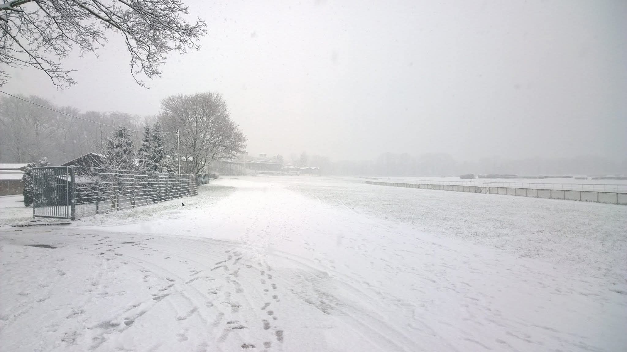 EIN KLEINER BLICK ZURÜCK IN WEISS