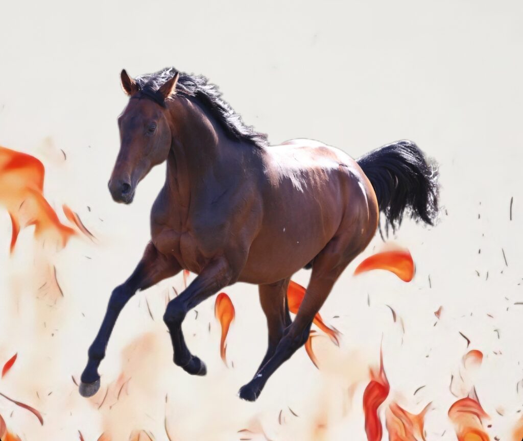 🔥 2026: Das Jahr des Feuer-Pferdes