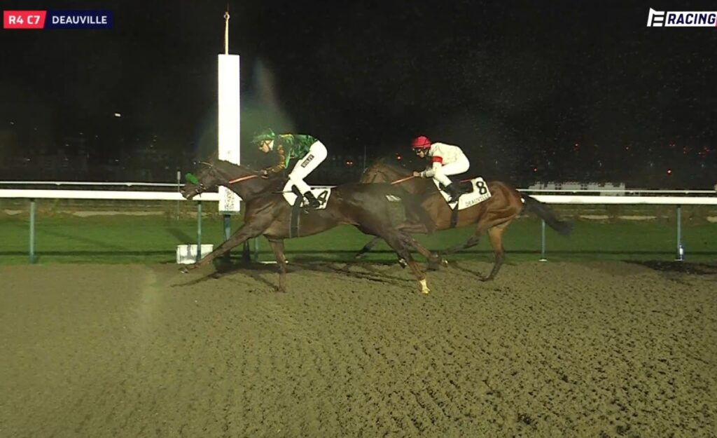 SIEG – ENQUET – GECLAIMT