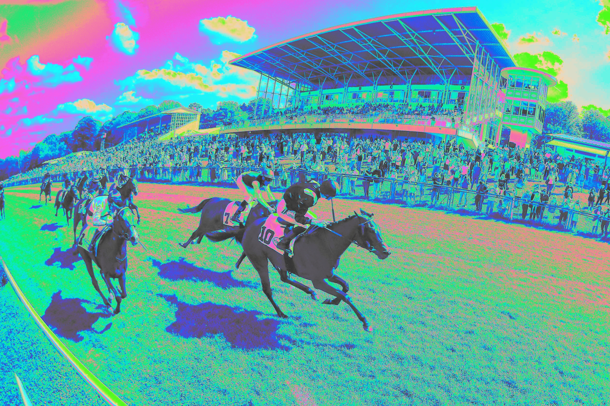 DREIMAL HANDICAP