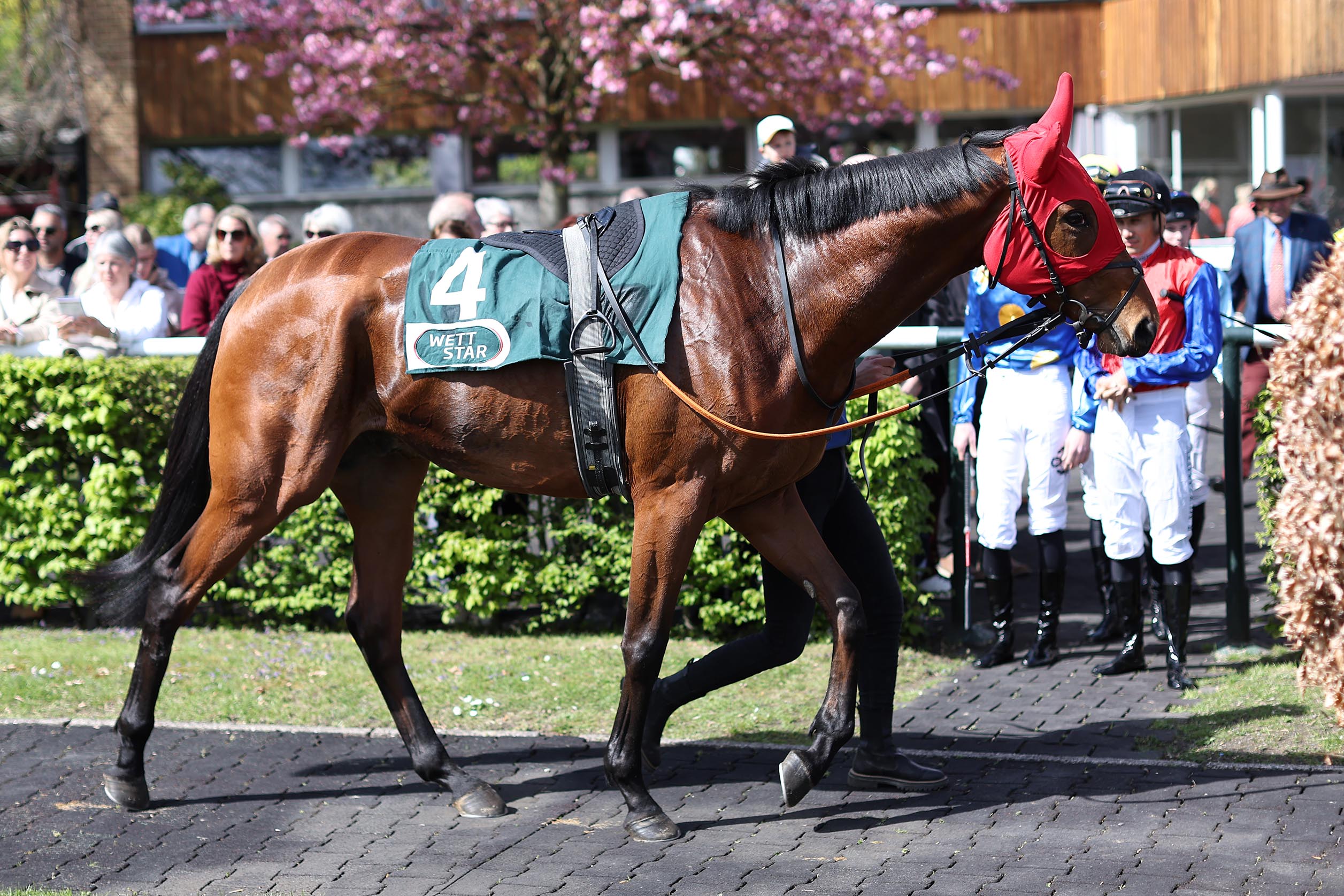STALLDEBUT IN MÜNCHEN