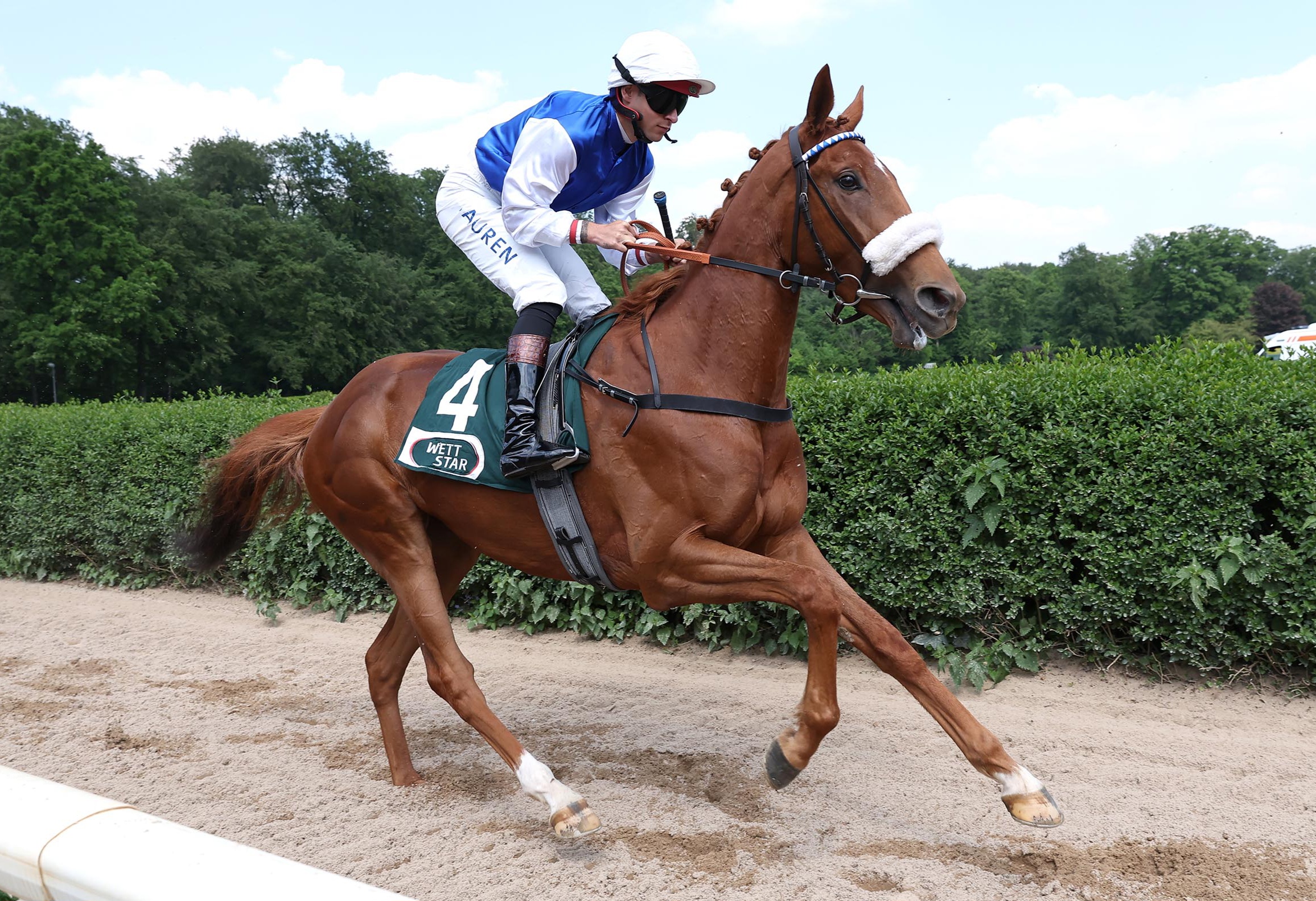 DRITTE BEI HANDICAP debut