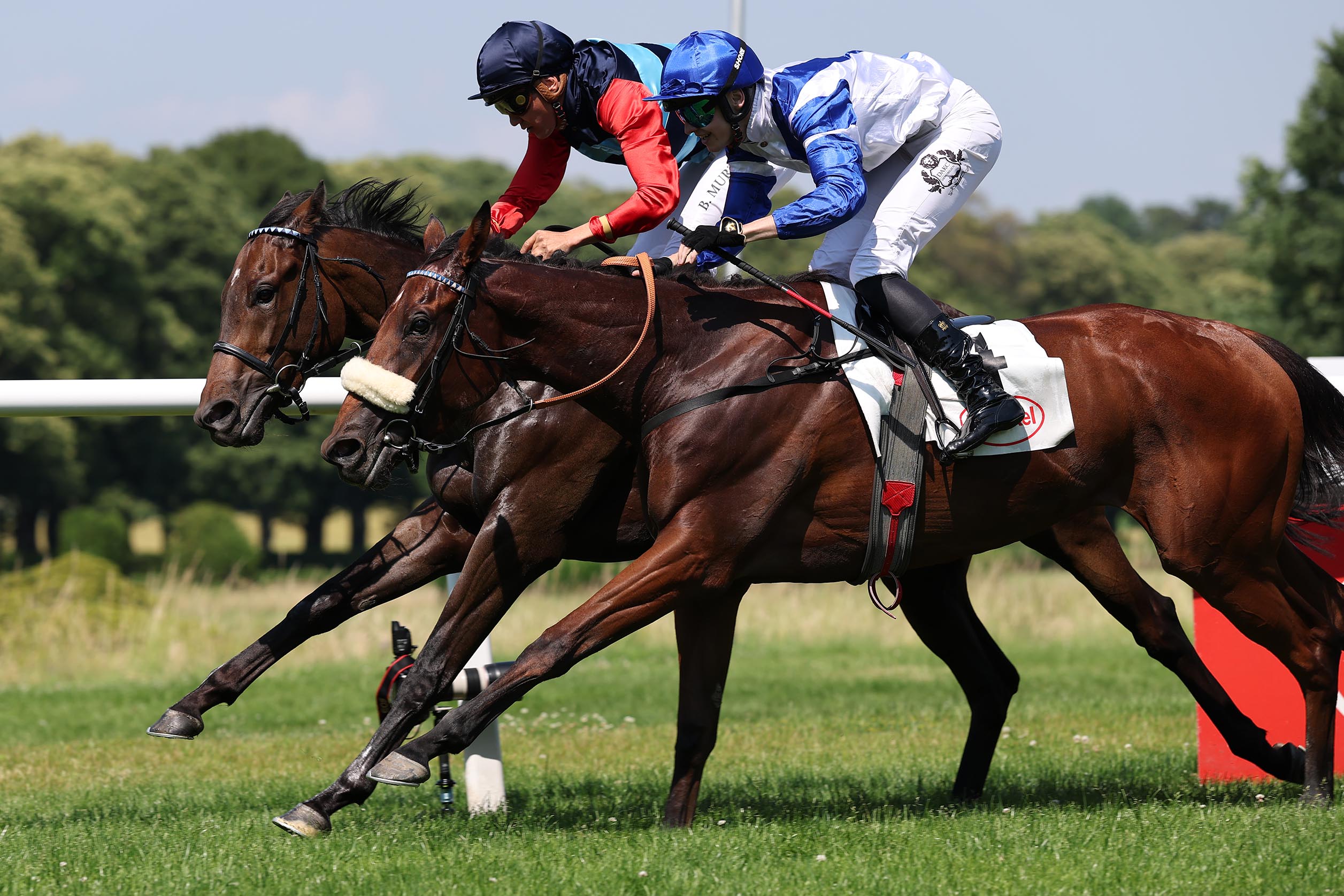 MIT CHANCEN IN CHANTILLY