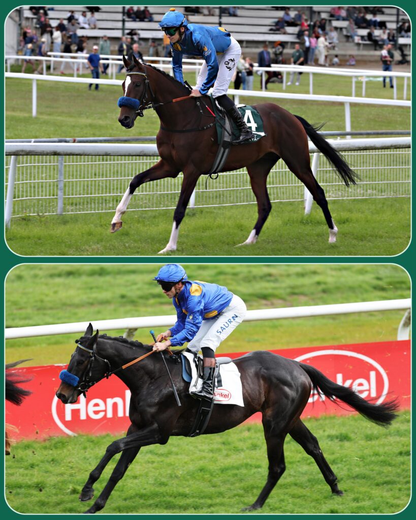 BLAU – GELBES DERBY DUO