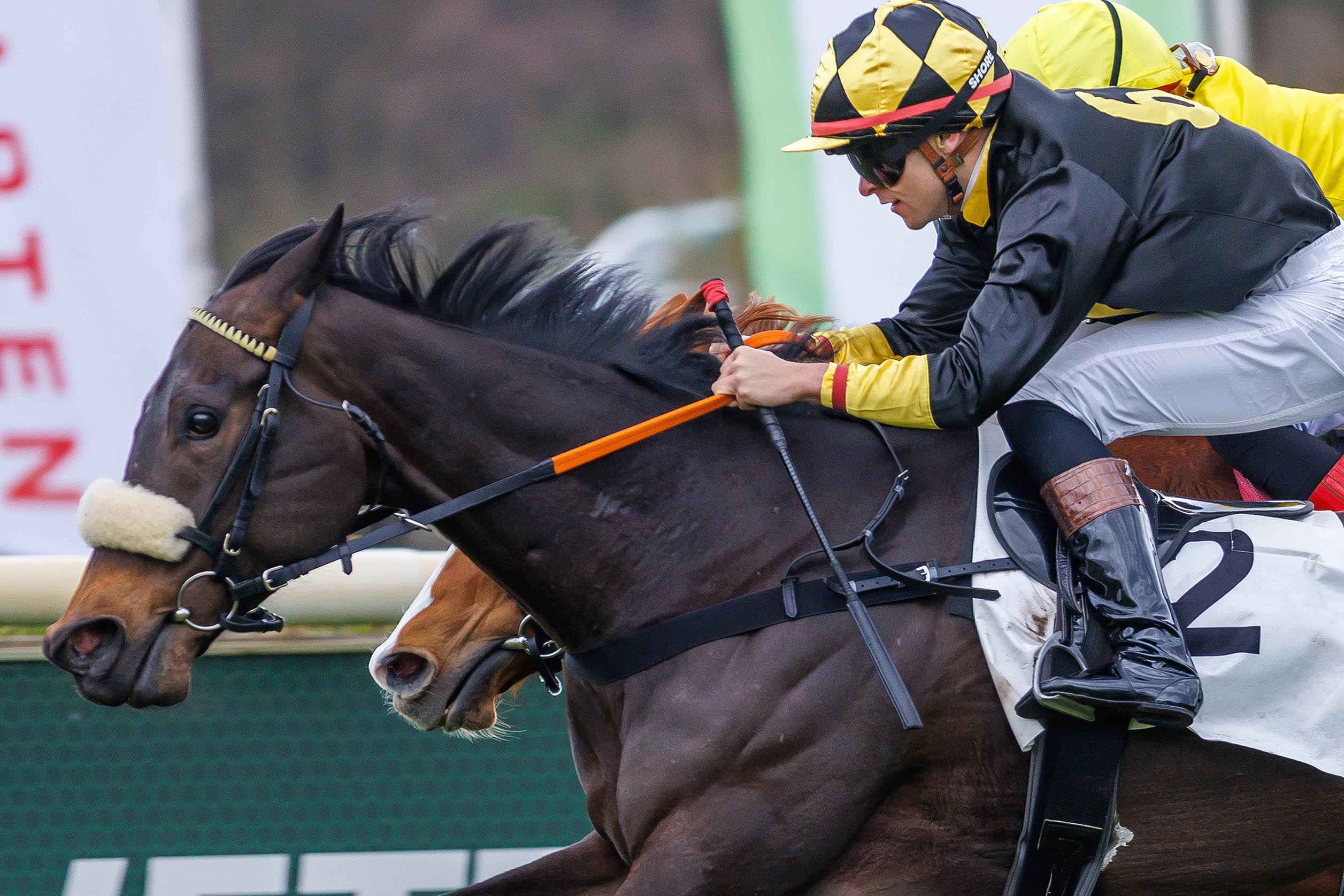 „GRUPPE BLACKTYPE“ IM BLICK